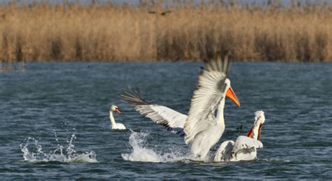 Shirvan National Park Tour - Baku | FREETOUR.com