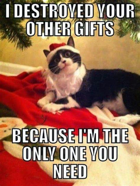 Hilarious Christmas Memes To Share On All Social Media