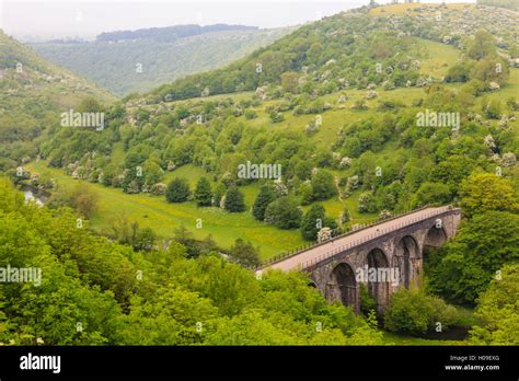 Monsal Trail viaduct, Monsal Head, Monsal Dale, former rail line, trees in full leaf in summer ...