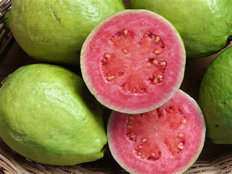 Goiaba (Guava) - Sabor Brasil