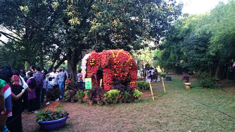 The Magnificent Flower Show at Lal bagh - Tripoto