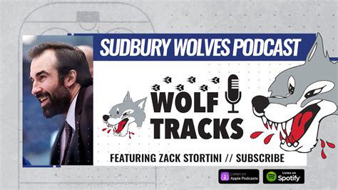 Listen - Wolf Tracks Podcast, Available on Spotify & Apple Podcasts ...