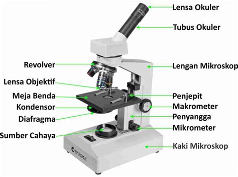 Bagian Bagian Mikroskop Dan Fungsinya Mikroskop Ilmu Pengetahuan | My ...