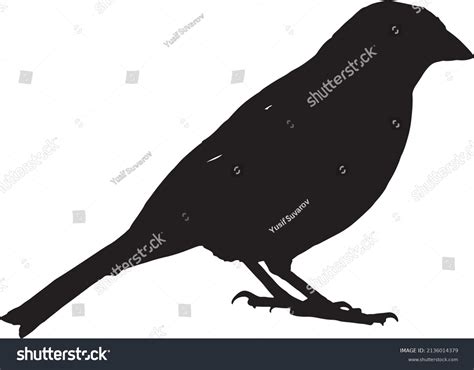 Bird Silhouette Vector Black White Stock Vector (Royalty Free ...