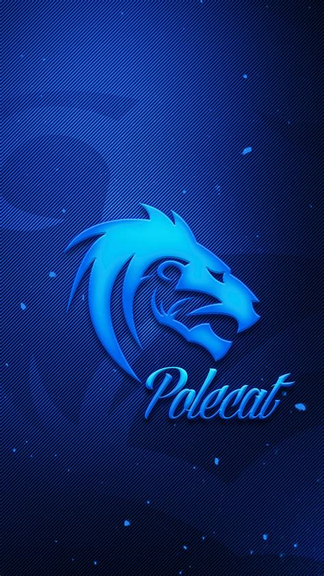 HD polecat324 wallpapers | Peakpx