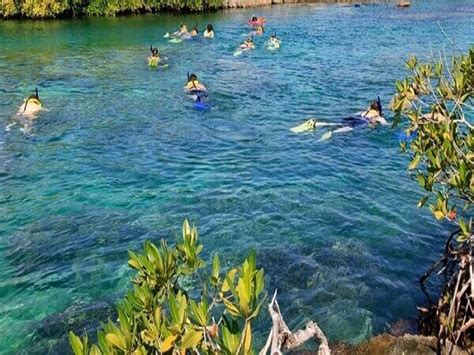 Snorkeling Blue Lagoon: Explore The Aquatic Paradise