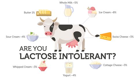 Are You Lactose Intolerant - Andrea's Digestive Clinic Singapore