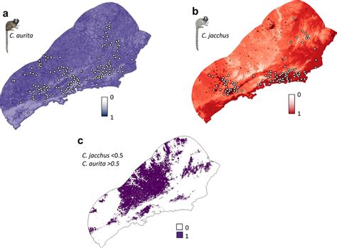 Estimated probability (0–1) of presence of Callithrix aurita (a) and ...