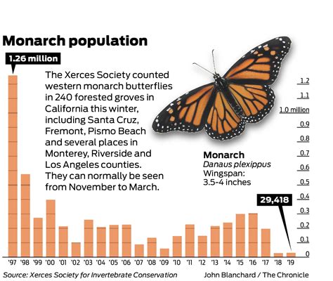 Slim hope for monarch butterflies: Population holds steady this season