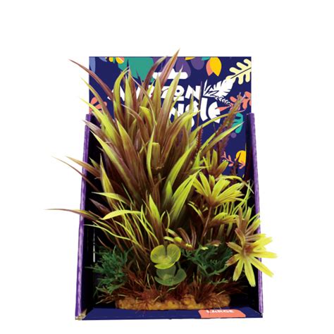 Amazon Jungle Plants 20cm – Aquarium Store Melbourne | Marine ...