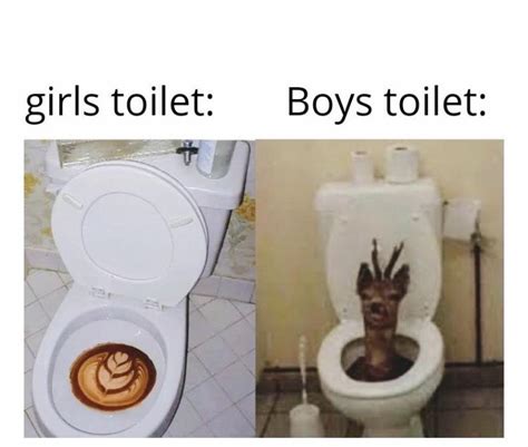 School bathrooms be like: : r/memes