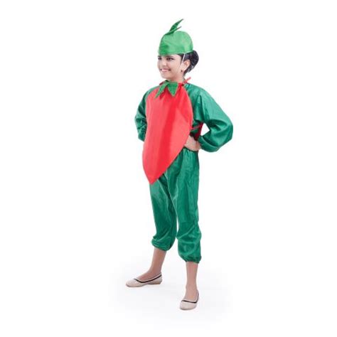 chilly costume for costume online at low price online – fancydresswale.com