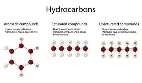 Chlorinated Hydrocarbon Definition Science at Bonita Welch blog