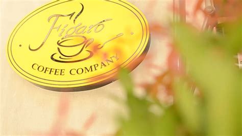 Stories – Figaro Coffee Company