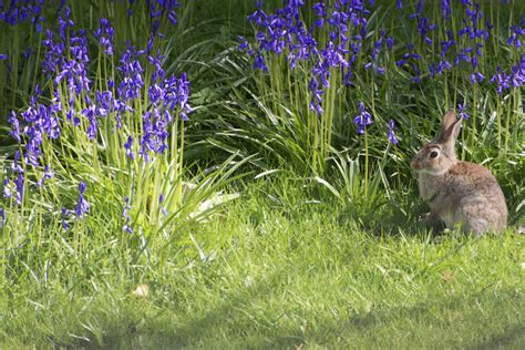 Tips for Keeping an Eco-Friendly Lawn - Quantico Creek Sod Farms