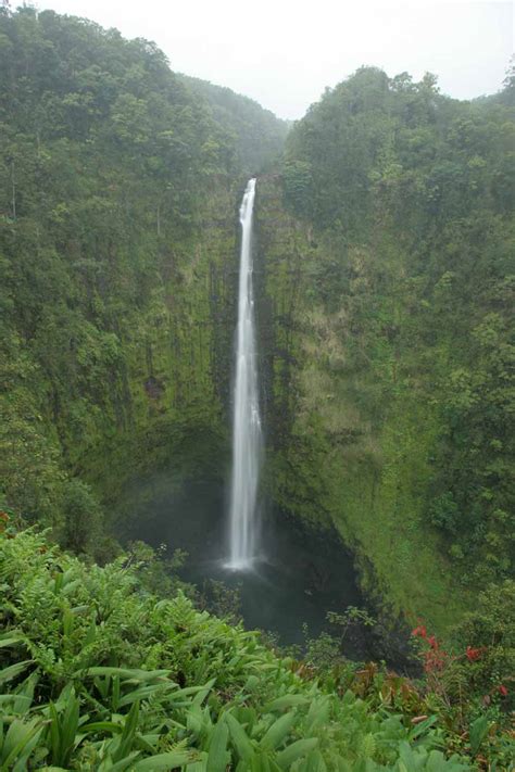 Akaka Falls - The Most Beautiful Waterfall on the Big Island