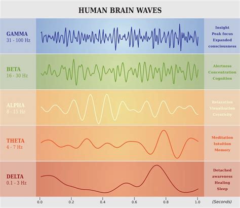 What is ‘Theta’ all about?. And what is the Theta brainwave? | by Susie ...