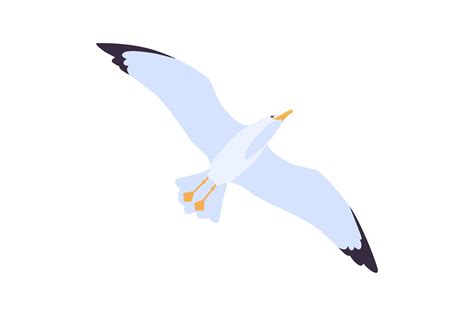 Cartoon Beach Seagull Flying in Sky Vect Graphic by pch.vector ...