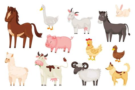 Cartoon cute farm animals and birds, rural domestic livestock. Sheep ...