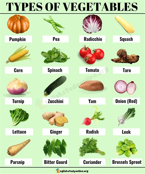 List of Vegetables : 100+ Popular Types of Vegetables in English ...