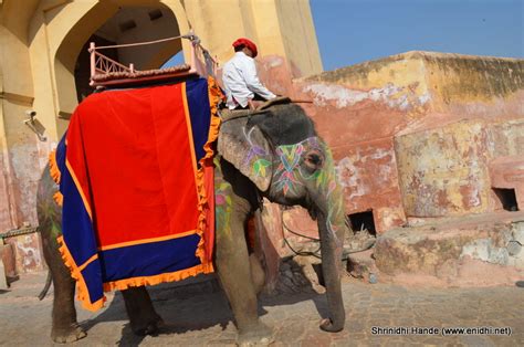 Elephant ride uphill to Amer Fort - eNidhi India Travel Blog