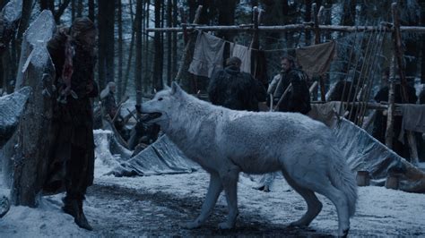 Direwolves - Game of Thrones Wiki