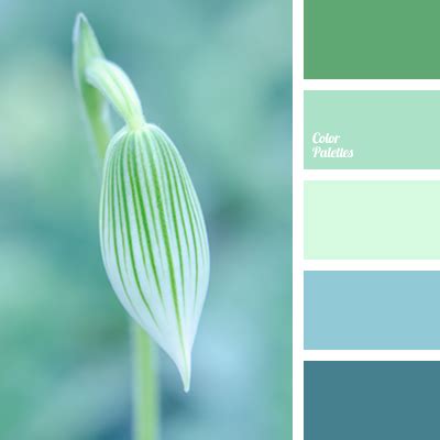 turquoise and dark blue-blue | Color Palette Ideas