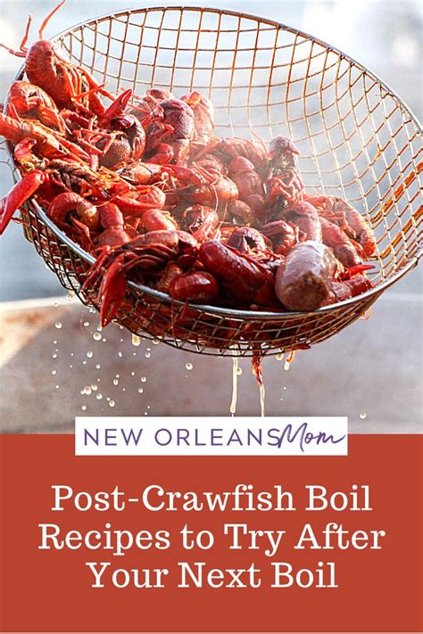 Leftover Lineup :: Post-Crawfish Boil Recipes to Try After Your Next Boil | Crawfish boil recipe ...