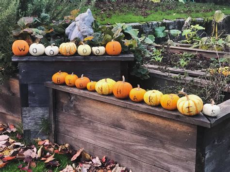 I had fun decorating my mini pumpkins! : r/gardening