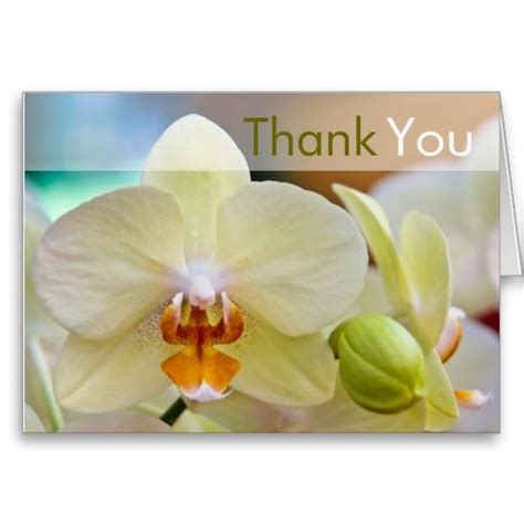 20 best Orchid Thank You Cards images on Pinterest | Thank you greeting cards, Appreciation ...