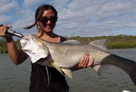 Noosa River Weekly Fishing Report - O Boat Hire