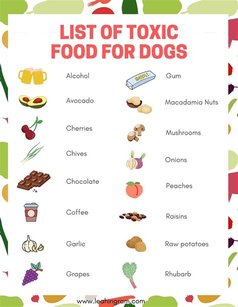 Dangerous Human Food for Dogs | Toxic foods for dogs, Dangerous foods for dogs, Dog safe food