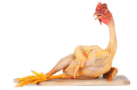 320,969 BEST Raw Chicken IMAGES, STOCK PHOTOS & VECTORS | Adobe Stock