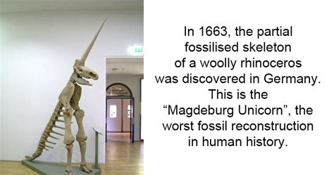 The Magdeburg Unicorn: The Worst Fossil Reconstruction Ever