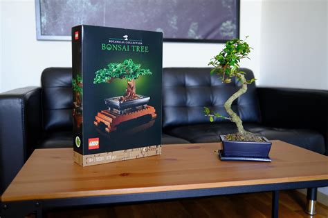 My first Lego set! The Bonsai Tree. : lego