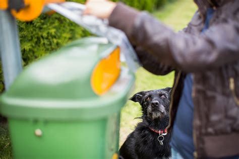 Pet Poo Disposal - Dog Waste Removal, Dog Poop Service Cost, Elkhart, IN