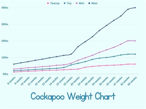 A Comprehensive Cockapoo Size Guide with Growth Charts – AnimKy