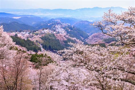 The National Parks of Kansai: From Mountain Trails Linking Holy Sites to Seascapes Both Rugged ...