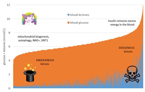 Are exogenous ketones right for you? - Optimising Nutrition