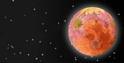 Full Moon in May 2021: Flower Moon, Supermoon, and Eclipse | The Old Farmer's Almanac