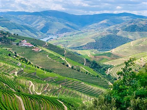 Douro Valley: Tips And Things To Know | Geeky Explorer