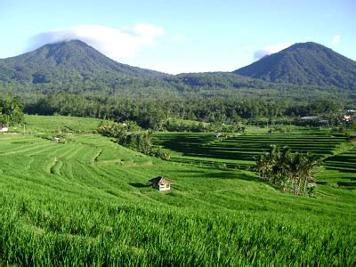 Jatiluwih - Bali truly marvelous landscape