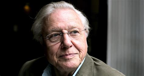 5 'Our Planet II' Filmmakers Reflect on How Narrator David Attenborough ...