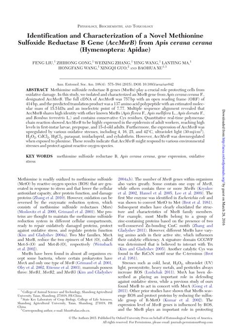 (PDF) Identification and Characterization of a Novel Methionine ...