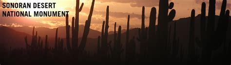 Sonoran Desert National Monument map