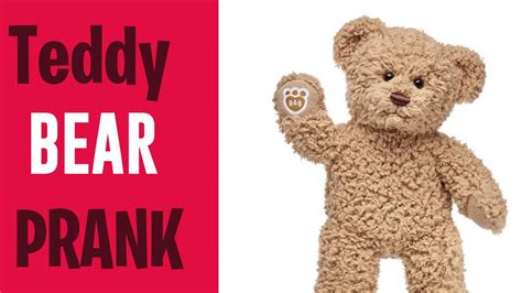 Teddy Bear Prank - YouTube