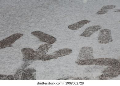 841 Footprints Snowy Walkway Images, Stock Photos & Vectors | Shutterstock