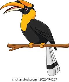 25,411 Hornbill Bird Images, Stock Photos & Vectors | Shutterstock