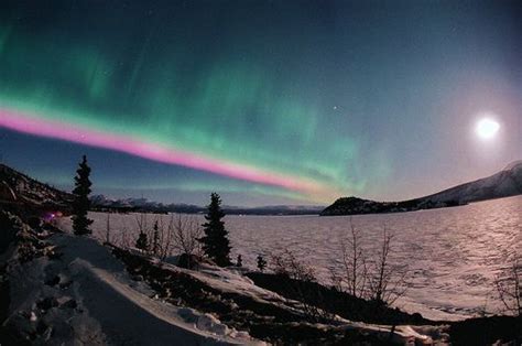 Bifrost ....... The Rainbow Bridge | Aurora boreal, Northern lights, Kluane national park