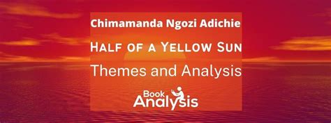 Half of a Yellow Sun Themes and Analysis | Book Analysis